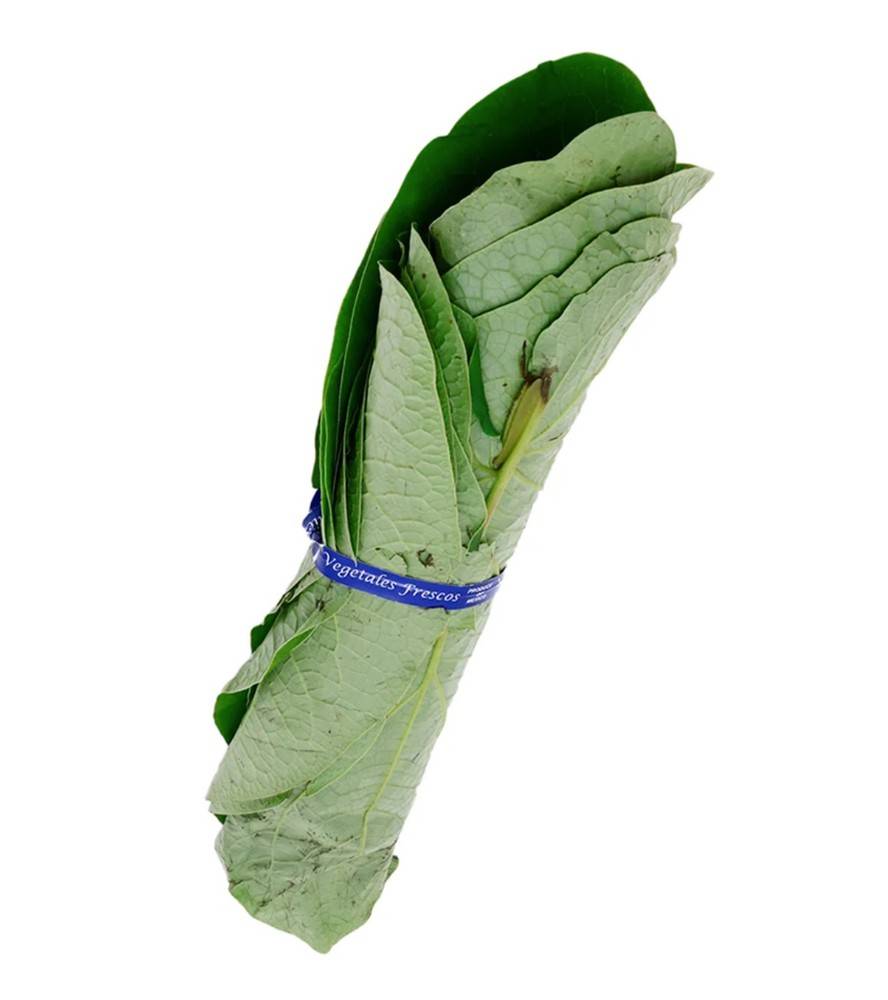 Hoja Santa Manojo