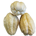 Chayote Papa Kg