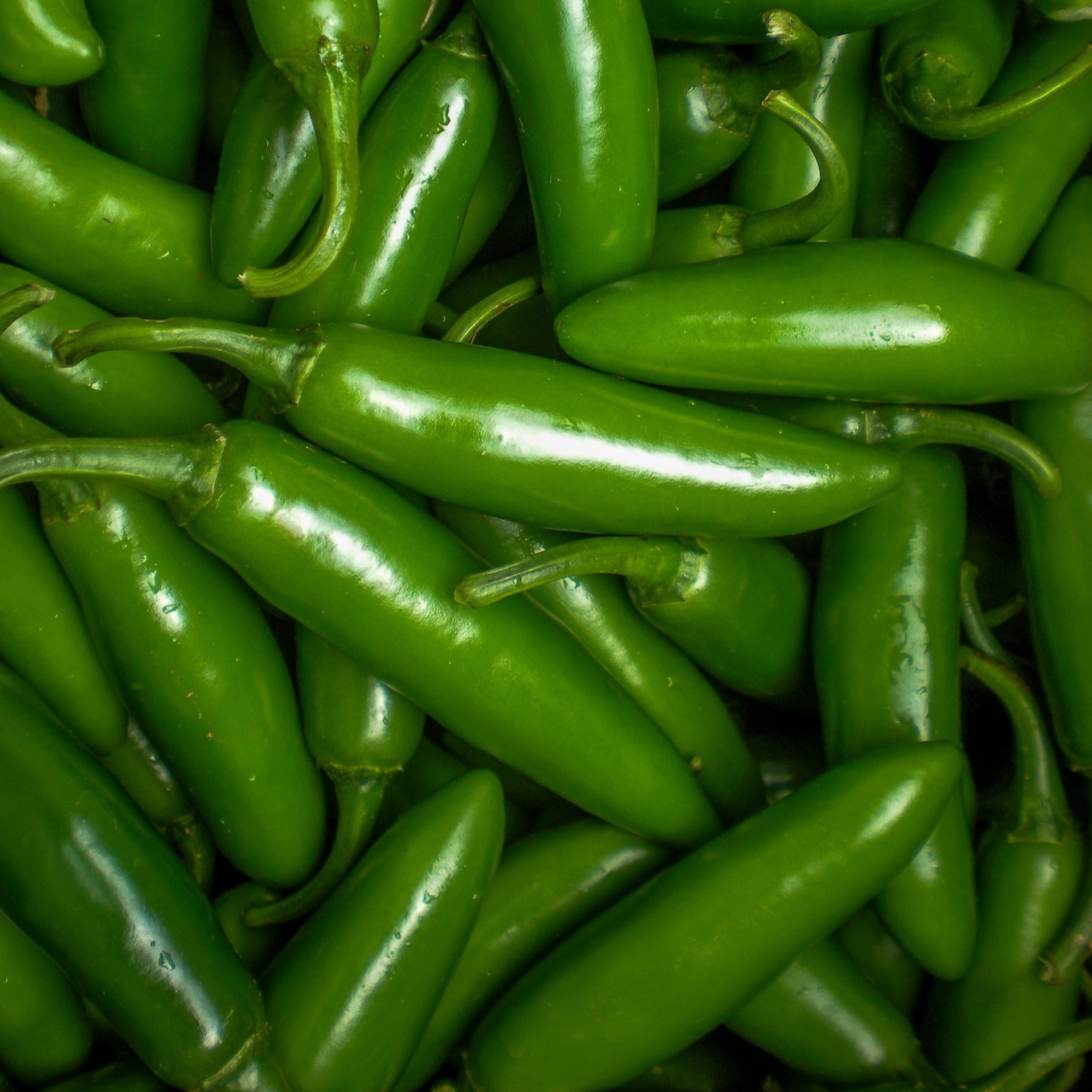 Chile Serrano Kg (Chile Verde)