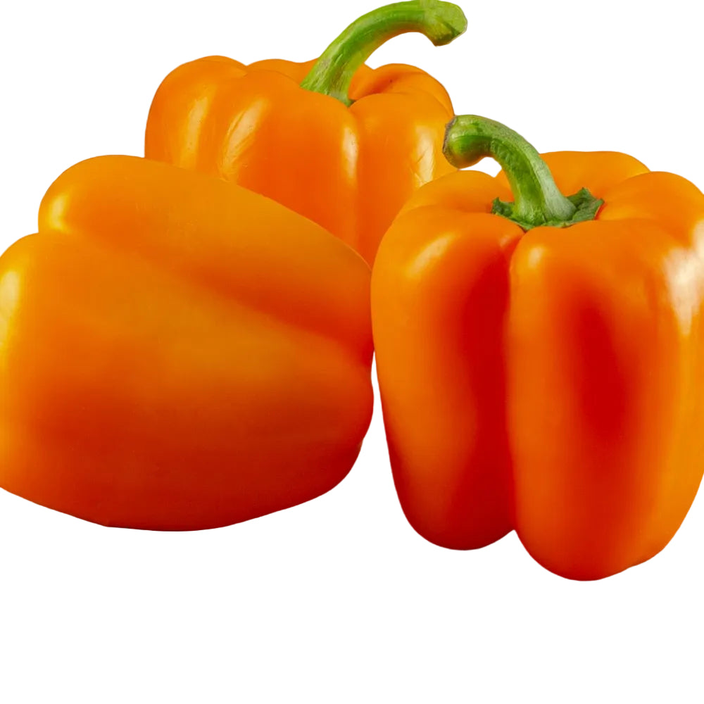 Morron Naranja Kg