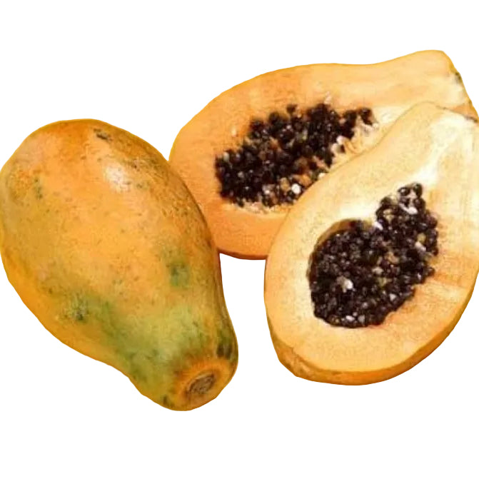 Papaya Mediana Pieza