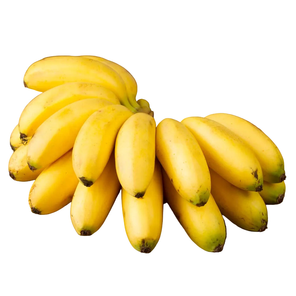 Platano Dominico Penca