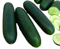 Pepino Americano Pieza