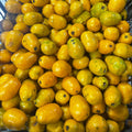 Ciruela Amarilla Kg