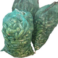 Jalapeño Arpilla