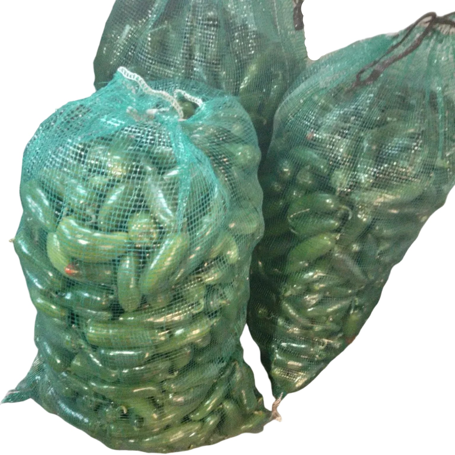 Jalapeño Arpilla