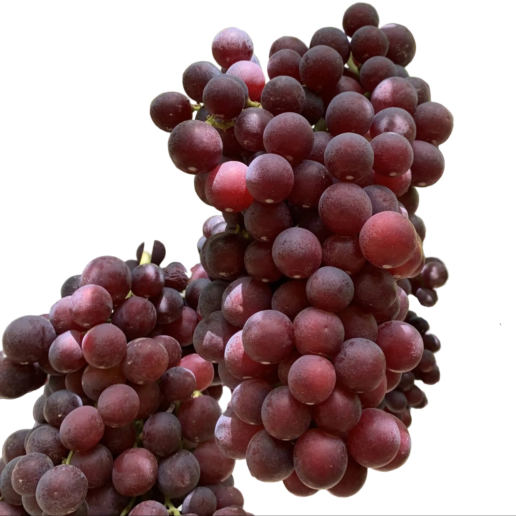 Uva Roja Sin Semilla Kg