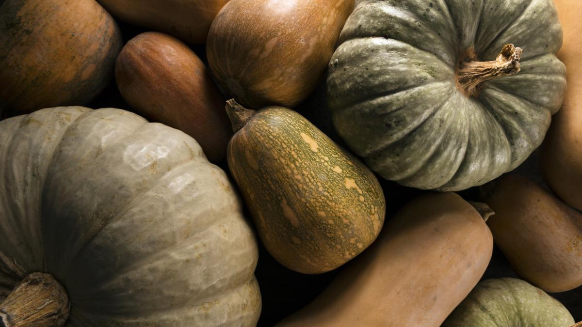 Calabaza Castilla Pieza