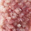 Molida de Pescado Kg