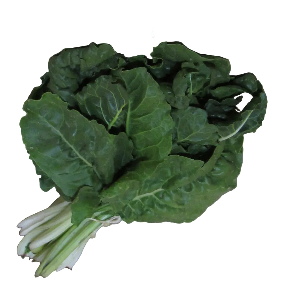 Acelga Manojo