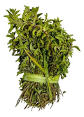Oregano Manojo