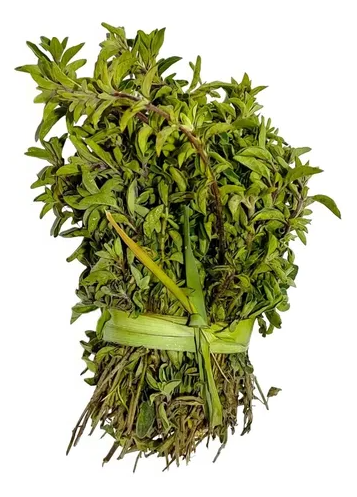 Oregano Manojo