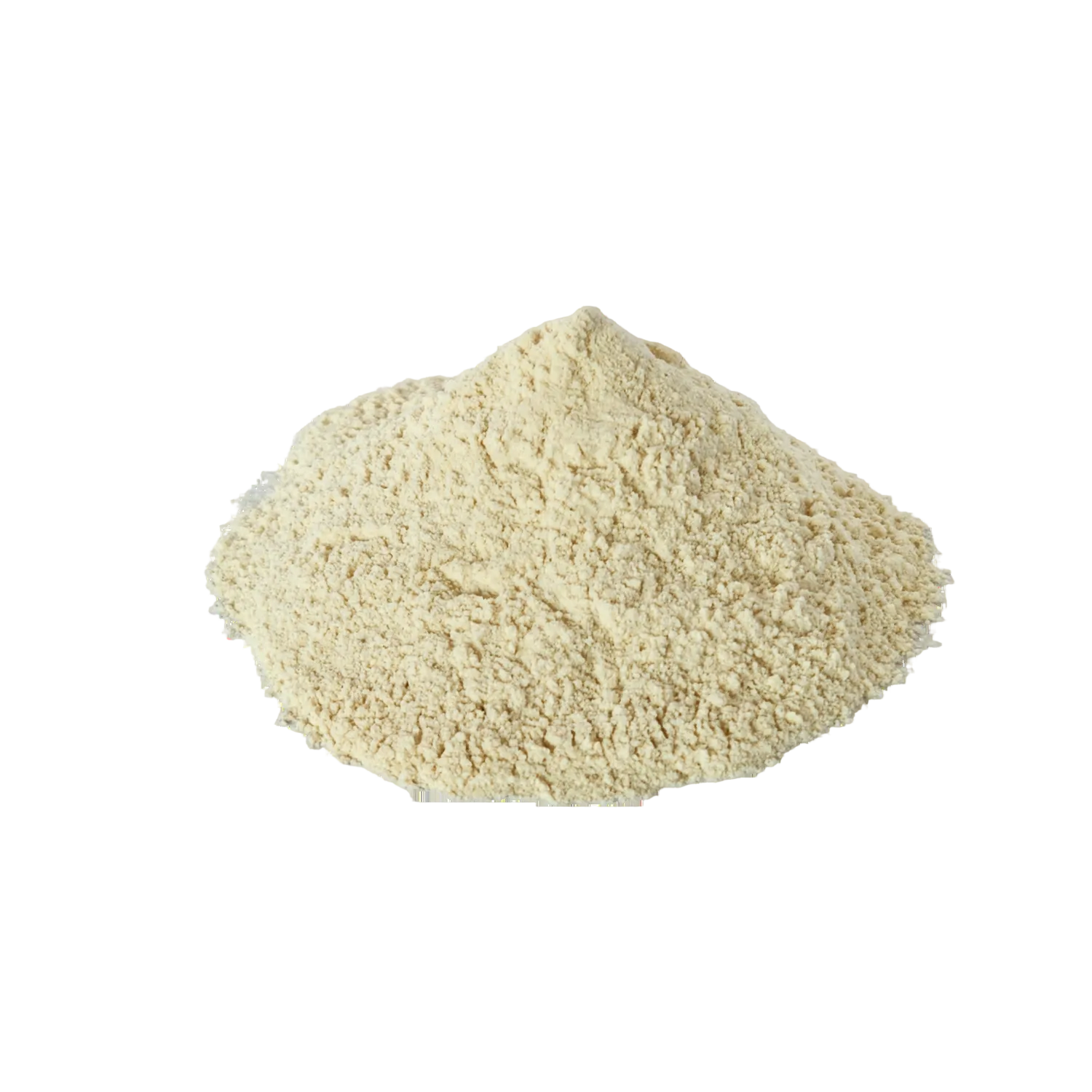 Cebolla Polvo Kg