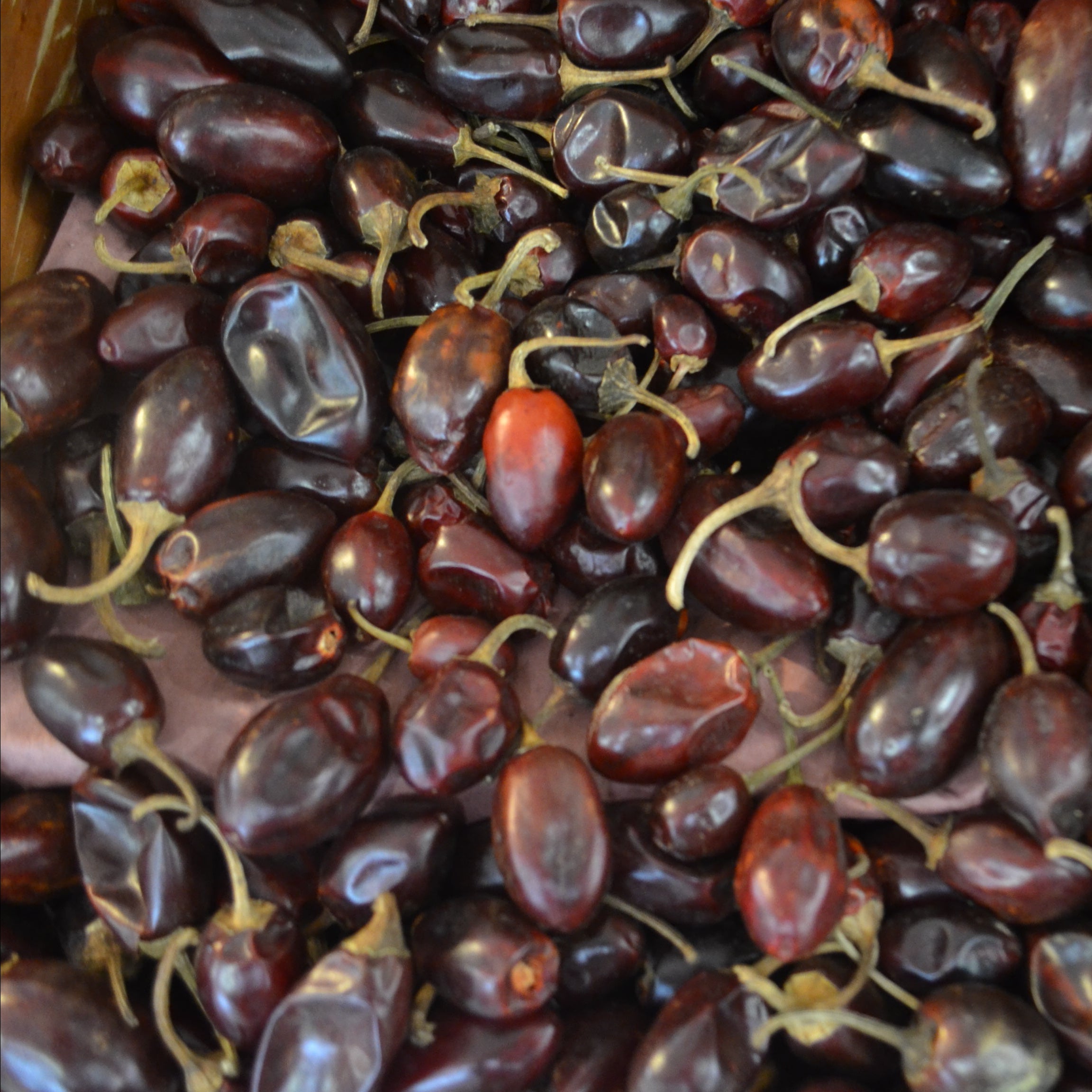 Chile Cascabel Kg