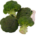 Brocoli Pieza