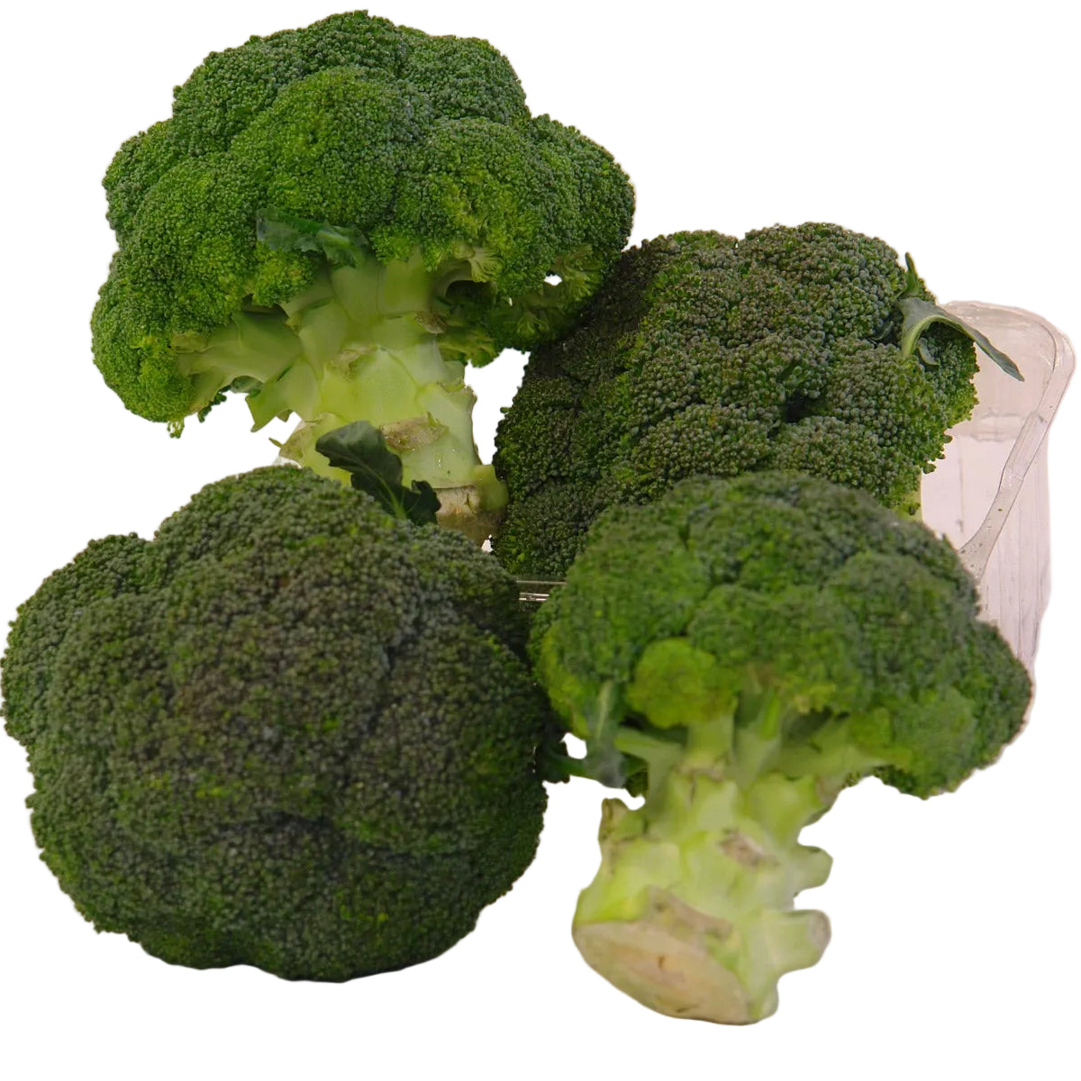 Brocoli Kg
