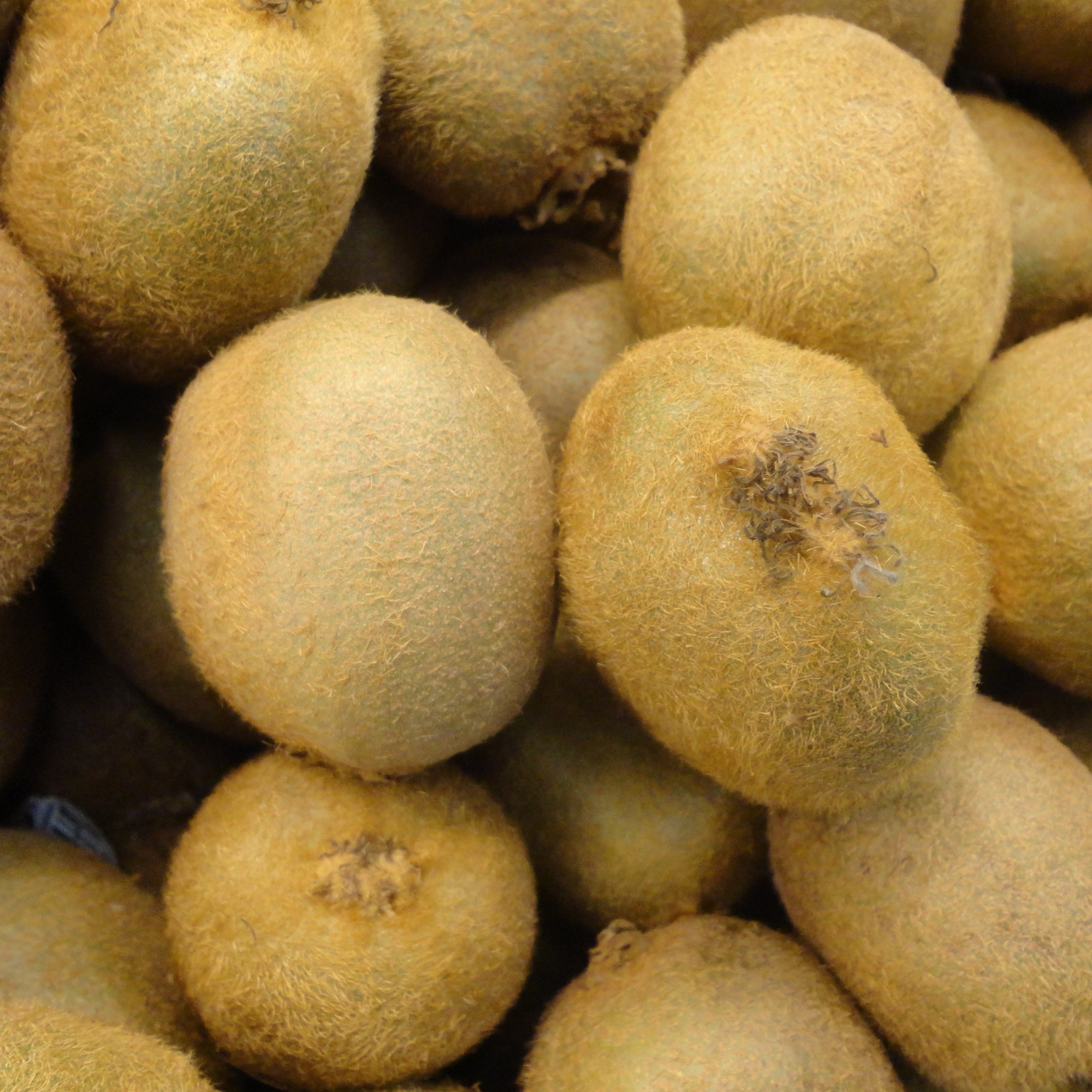 Kiwi kg