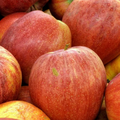 Manzana Gala Pieza