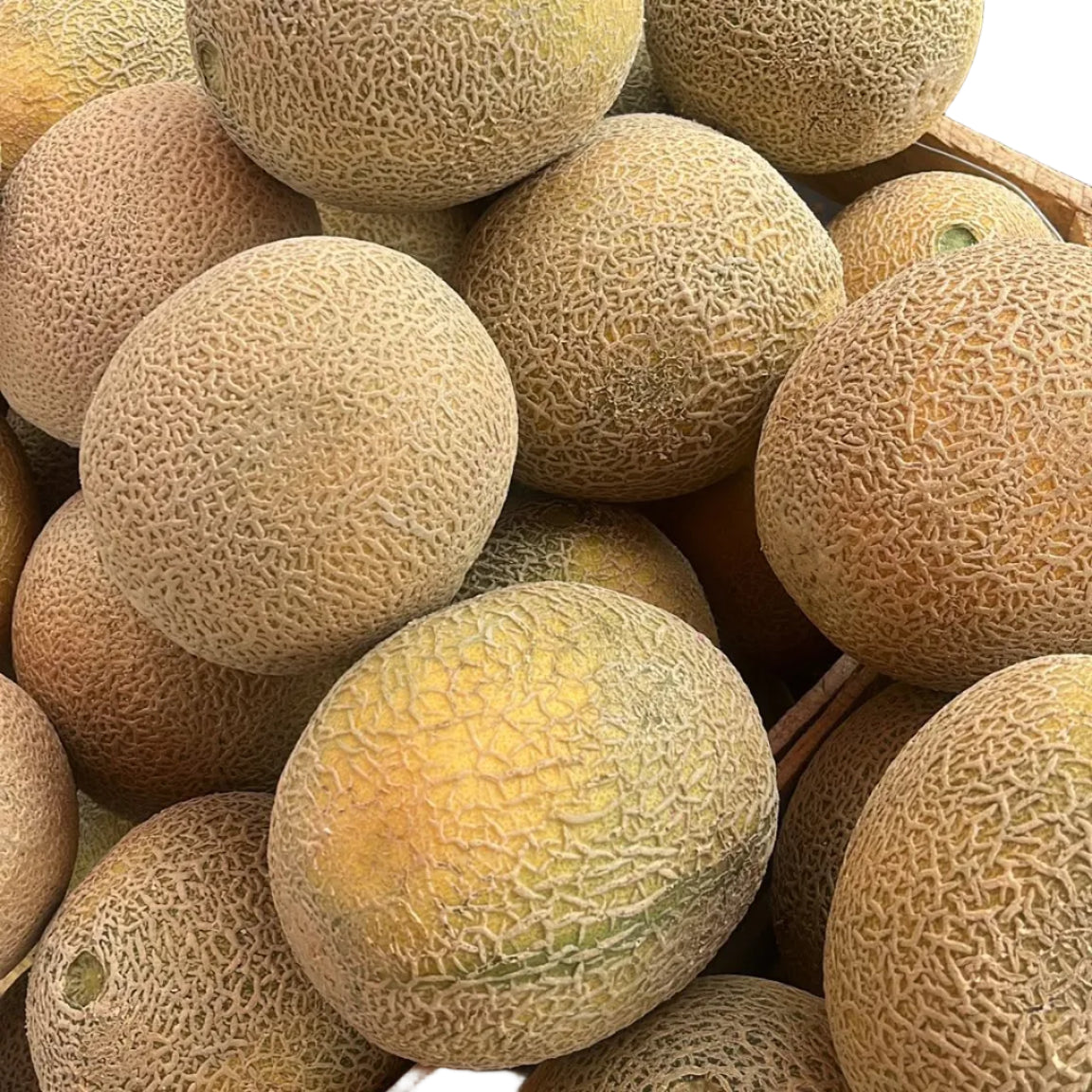 Melon Chico Pieza
