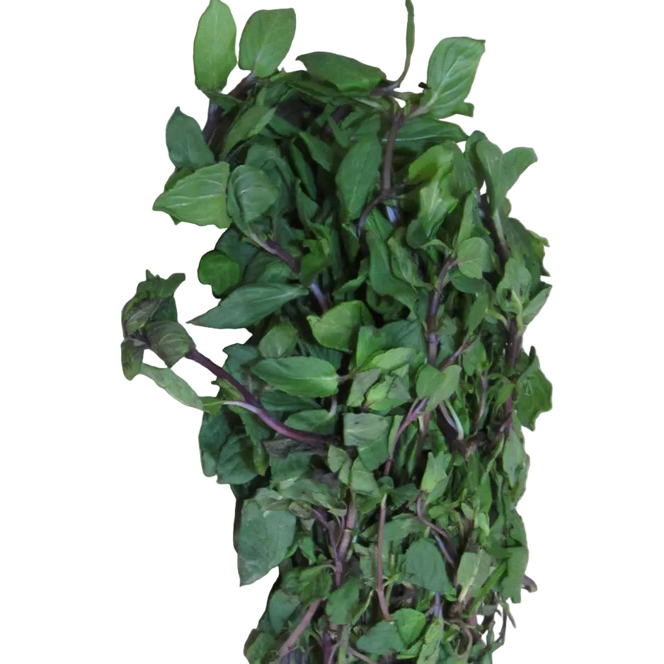 Menta Manojo