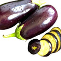 Berenjena Pieza
