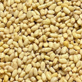 Piñon Blanco Kg