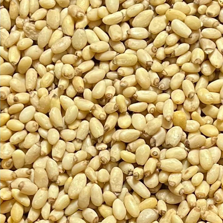 Piñon Blanco Kg