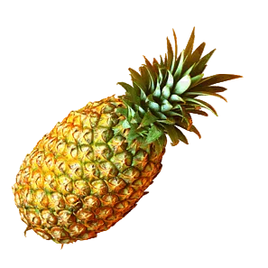 Piña Miel Grande Pieza