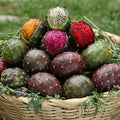 Pitaya Pieza