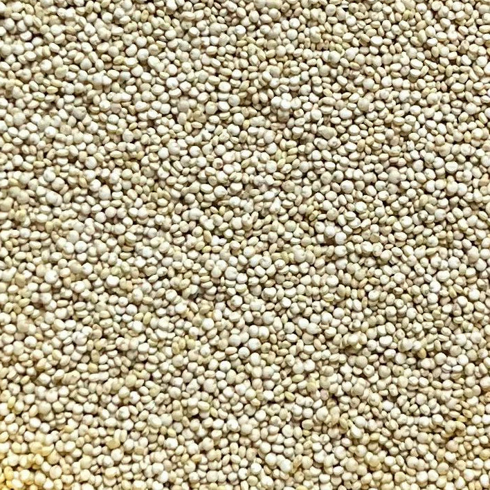 Quinoa Kg