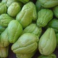 Chayote Kg