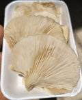 Setas Charola