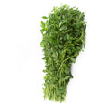 Alfalfa Manojo