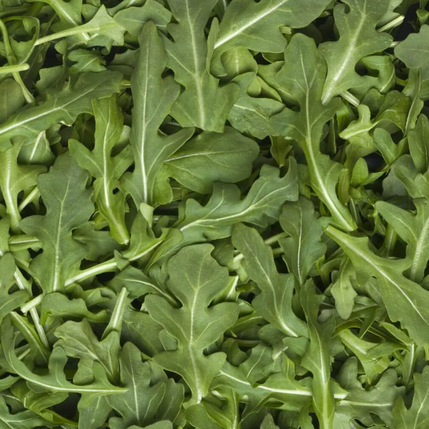 Arugula Granel Kg