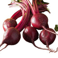 Betabel Manojo