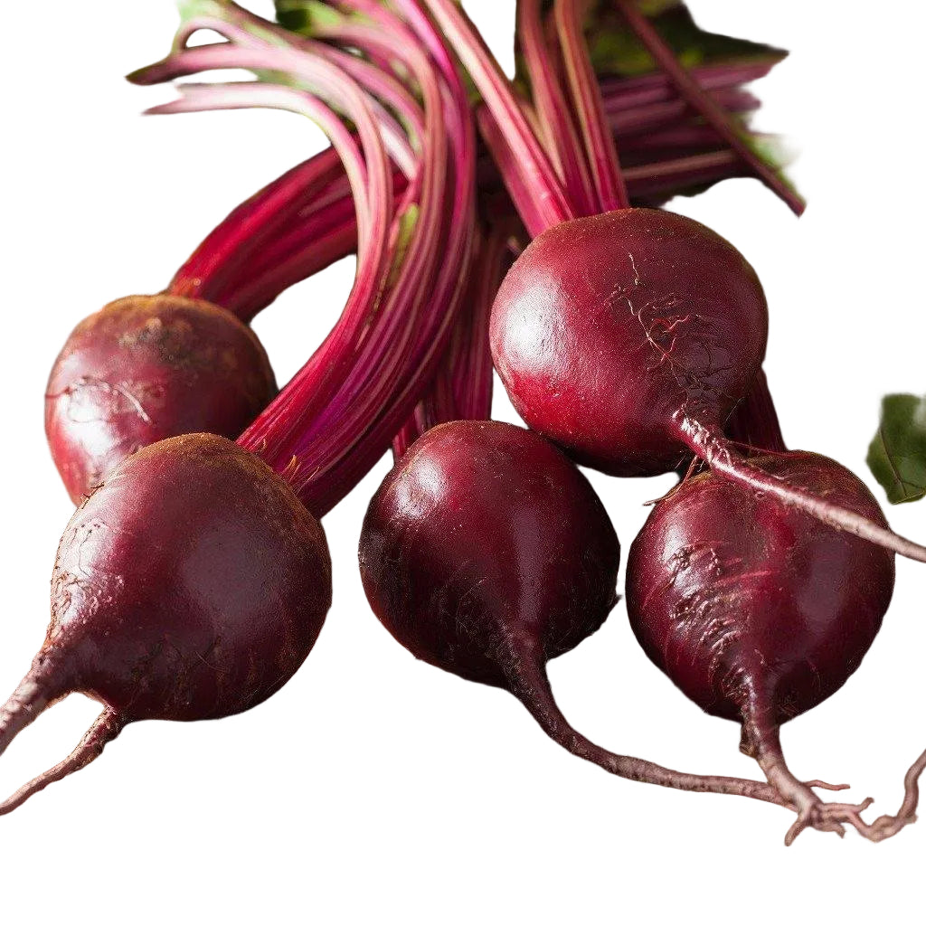 Betabel Manojo