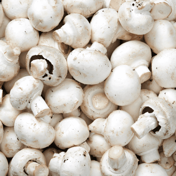 Champiñon Kg