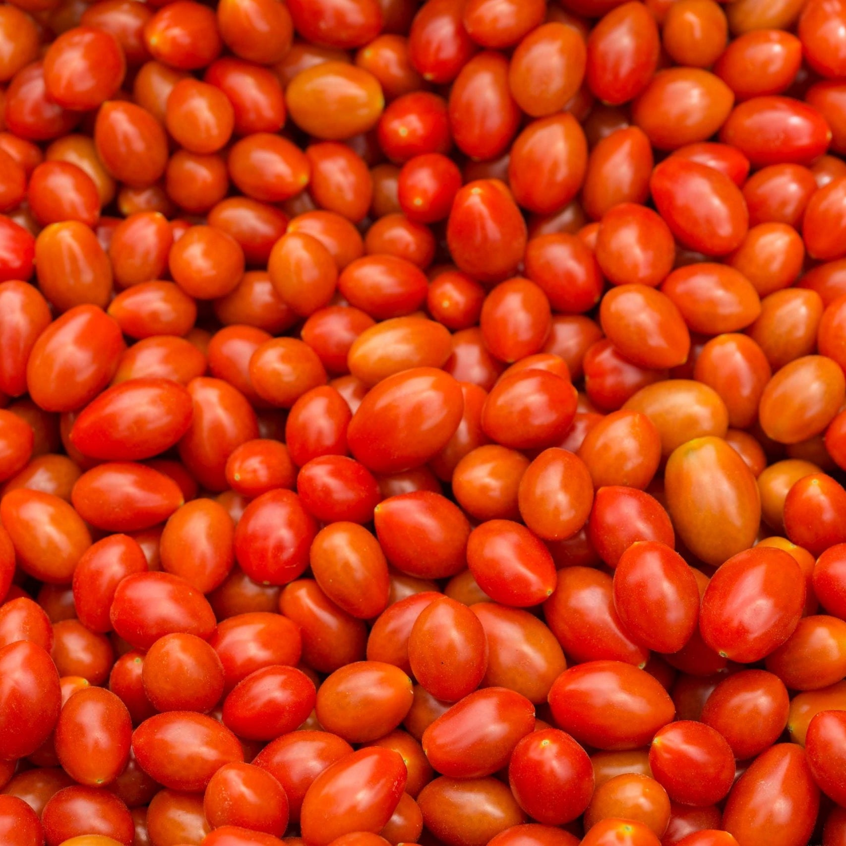 Jitomate Cherry Kg