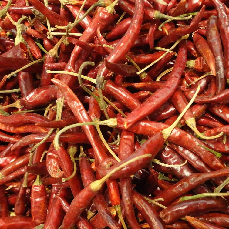 Chile Yahualica Kg