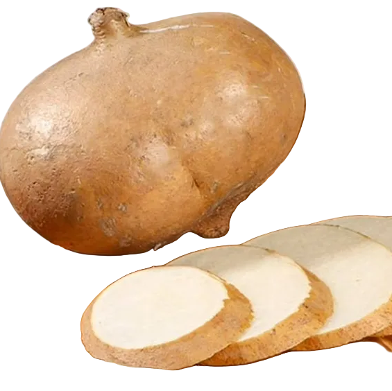 Jicama Pieza