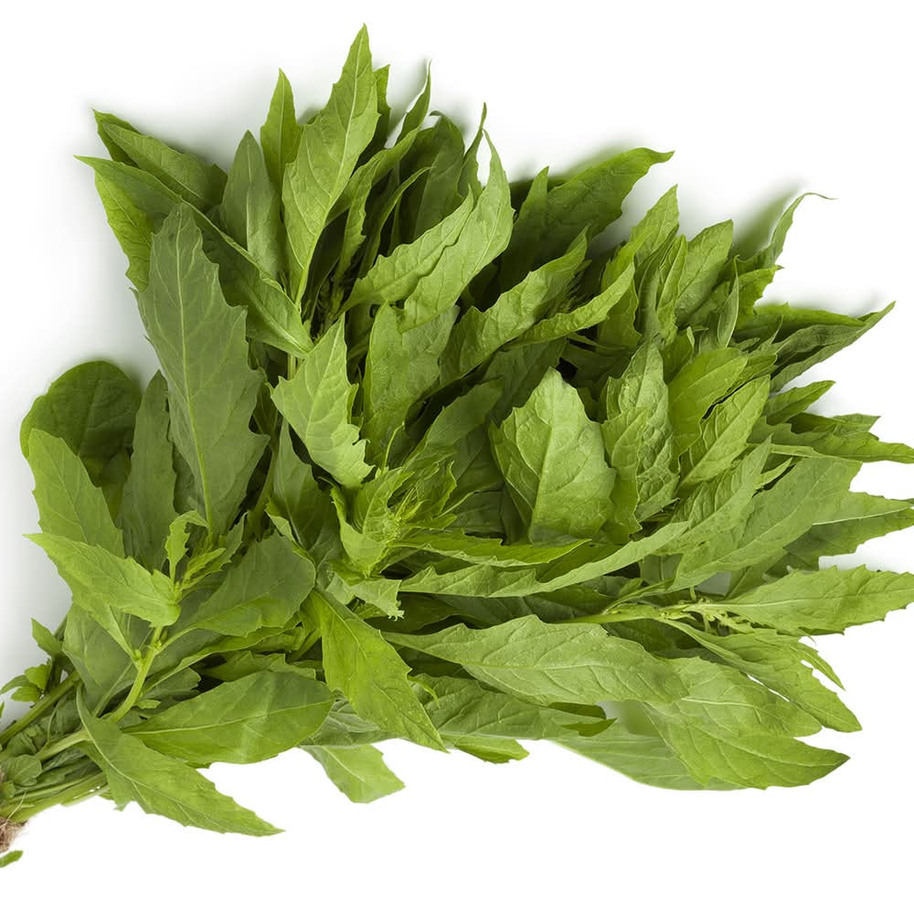 Epazote Manojo
