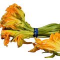 Flor De calabaza Manojo