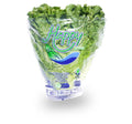 Lechuga Italiana En Bolsa Pieza