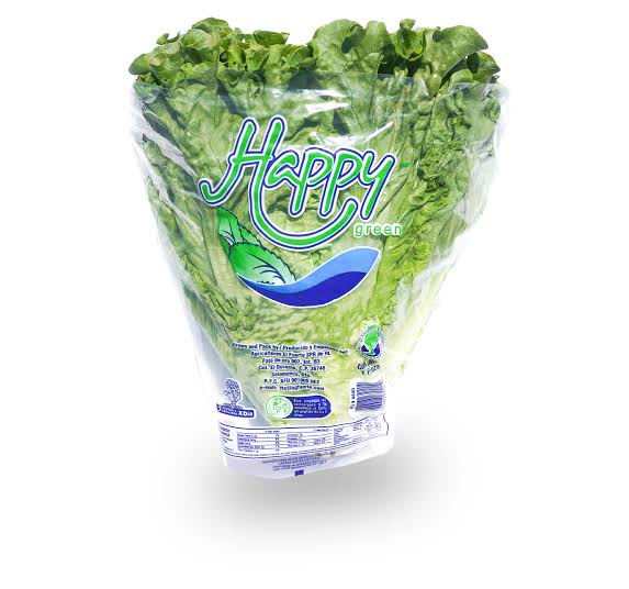 Lechuga Italiana En Bolsa Pieza