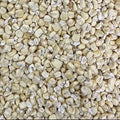 Maiz Pozolero Macro Kg