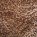 Garbanzo Kg