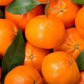 Mandarina Kg