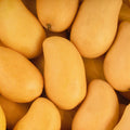 Mango Ataulfo Kg