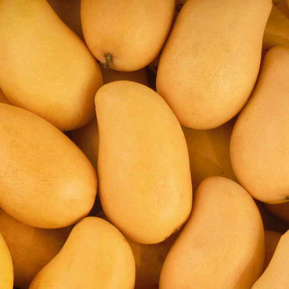 Mango Ataulfo Kg