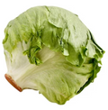 Lechuga Romana Pieza